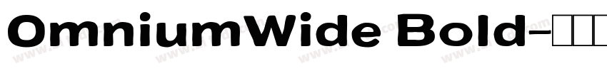 OmniumWide Bold字体转换 OmniumWide Bold字体转换